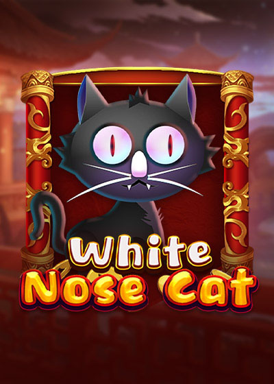 White Nose Cat